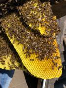 N°3, Annelise Blanchoud